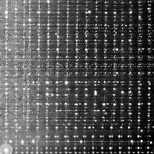 The SaaS Playbook: Why CLSA’s Defense of Legacy Software Is a Warning for DeFi Protocols
