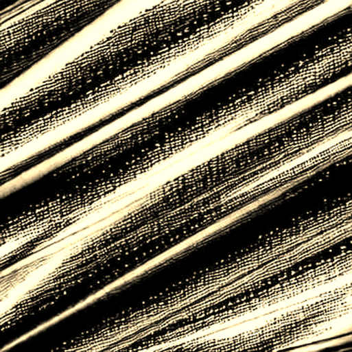 Tim Draper’s Denial: When On-Chain Attribution Meets the Assumption of Guilt